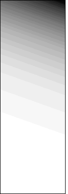 image6.gif
